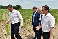 Вениамин Кондратьев высоко оценил сельхозпредприятия Курганинского района