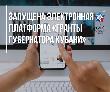 В Краснодарском крае работает электронная платформа «Гранты губернатора Кубани»