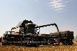 Сельхозпредприятия ООО «Урожай» и СПК колхоз «Новоалексеевский» завершили уборку озимой пшеницы на своих полях
