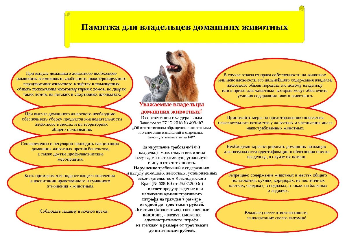 Памятка для владельцев домашних животных