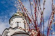 Храмы Екатеринодарской епархии 12 апреля проведут онлайн-трансляции богослужений