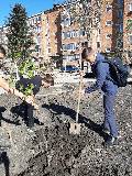 В 68 квартале города Курганинска весной зазеленеют  молодые деревца