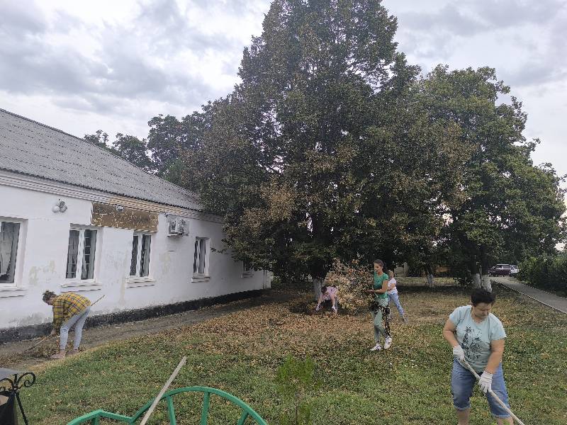 Организовали субботник