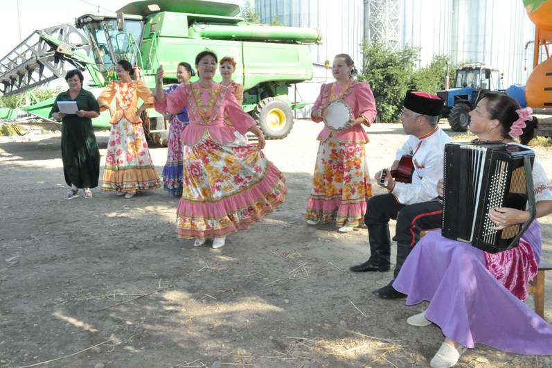 Концерты в полях – добрая традиция Курганинского района