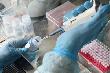 На Кубани снижается число заболевших коронавирусом