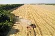  В Краснодарском крае собрали свыше 9 миллионов тонн зерна
