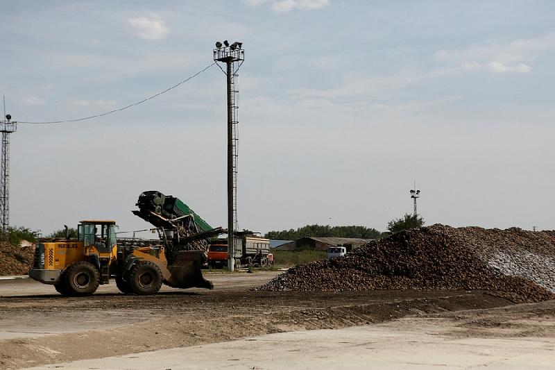 На сахарных заводах Краснодарского края завершается подготовка к новому сезону переработки сахарной свеклы