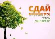 В Краснодарском крае стартовал экомарафон «Сдай макулатуру - спаси дерево!»